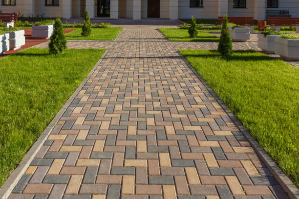 Best Driveway Paving Contractor  in Dorr, MI